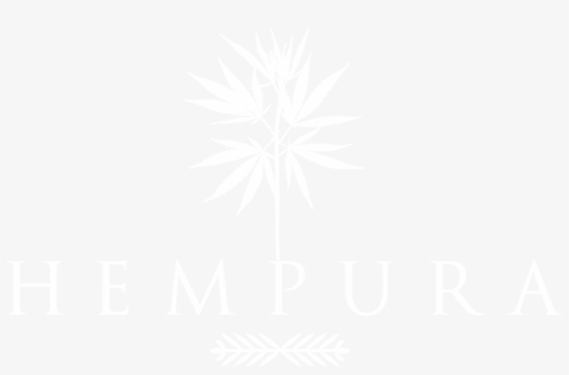 Hempura Logo Main Header - Google Logo G White, transparent png download
