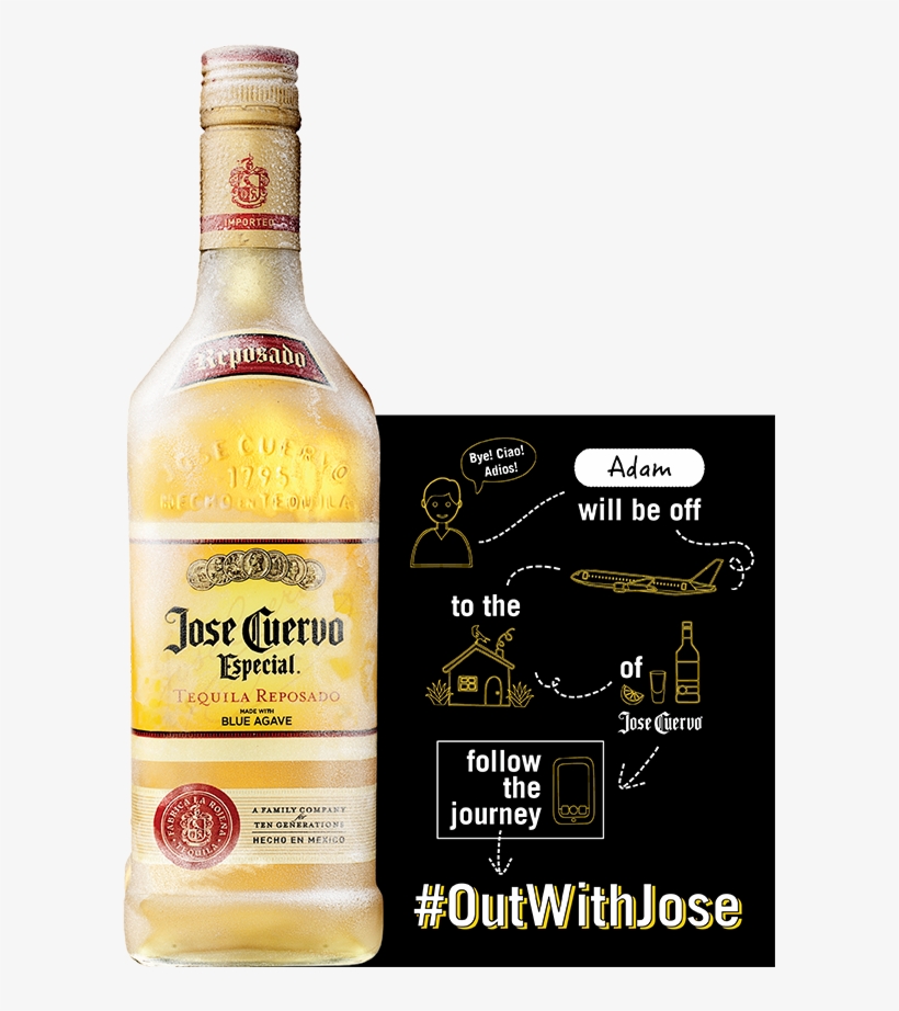 595 X 842 1 - Jose Cuervo, transparent png download