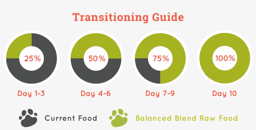 Transitioning To Raw Food From Any Food Should Be Done - Castle Draught 1895, transparent png download