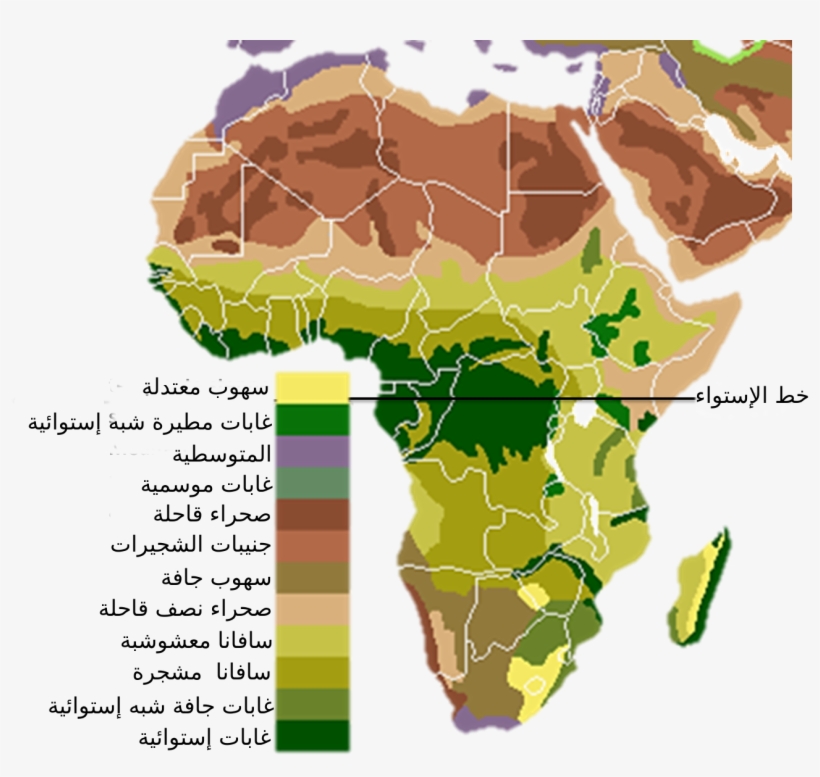 Vegetation Africa Ar - Do Flamboyant Cuttlefish Live Map, transparent png download