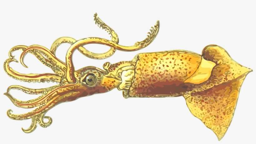 20,000 Leagues Under The Sea - Illustration, transparent png download