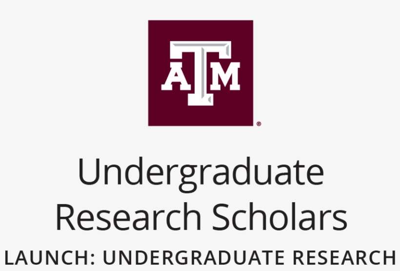 Png/pdf/jpg - Texas A&m, transparent png download