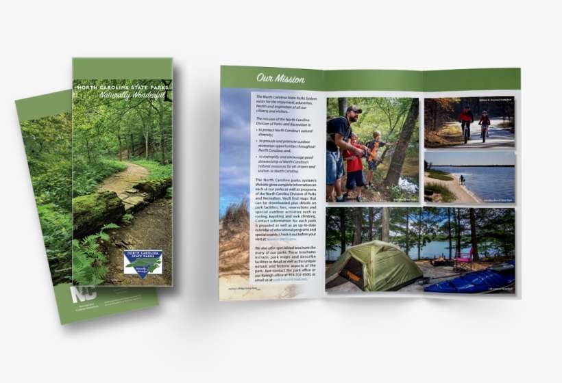 Picture - Brochure, transparent png download