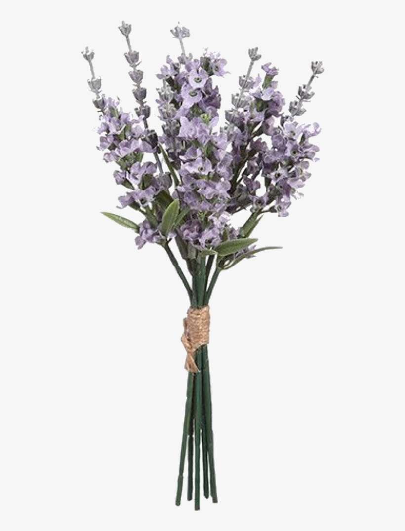 Pngs /like Or Reblog If Used/ - English Lavender, transparent png download