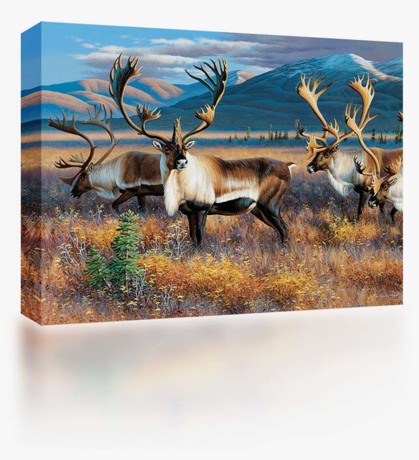 Reindeer, transparent png download