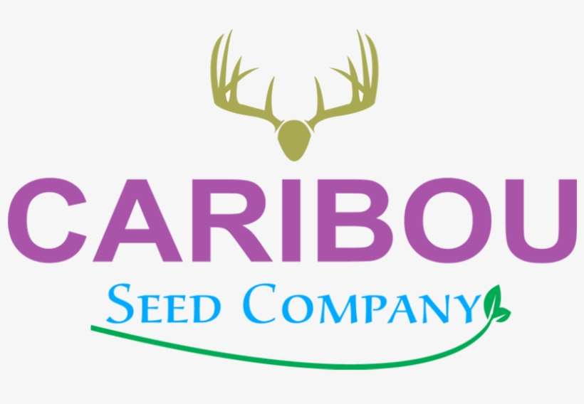 Logo Design By Amanat Design House For This Project - Antler, transparent png download