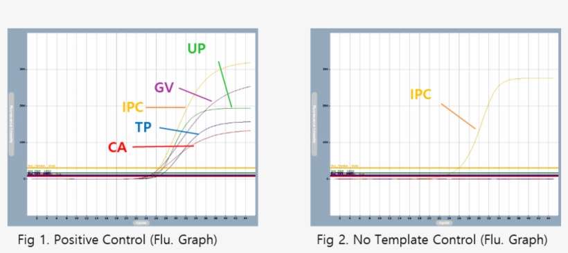 Accupower® Sti4c Plex Real Time Pcr Kit Includes Positive - Diagram, transparent png download