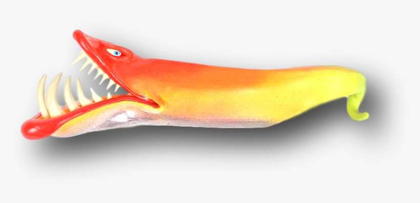 Bingo Barney Eel Fish With Attitude - Crocodile, transparent png download