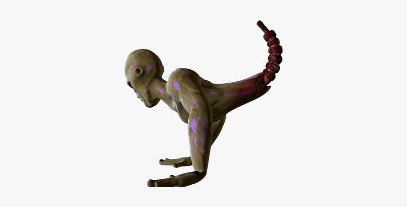 474shot 800×450 - Animal Figure, transparent png download