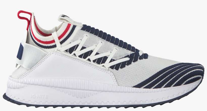 Puma, transparent png download