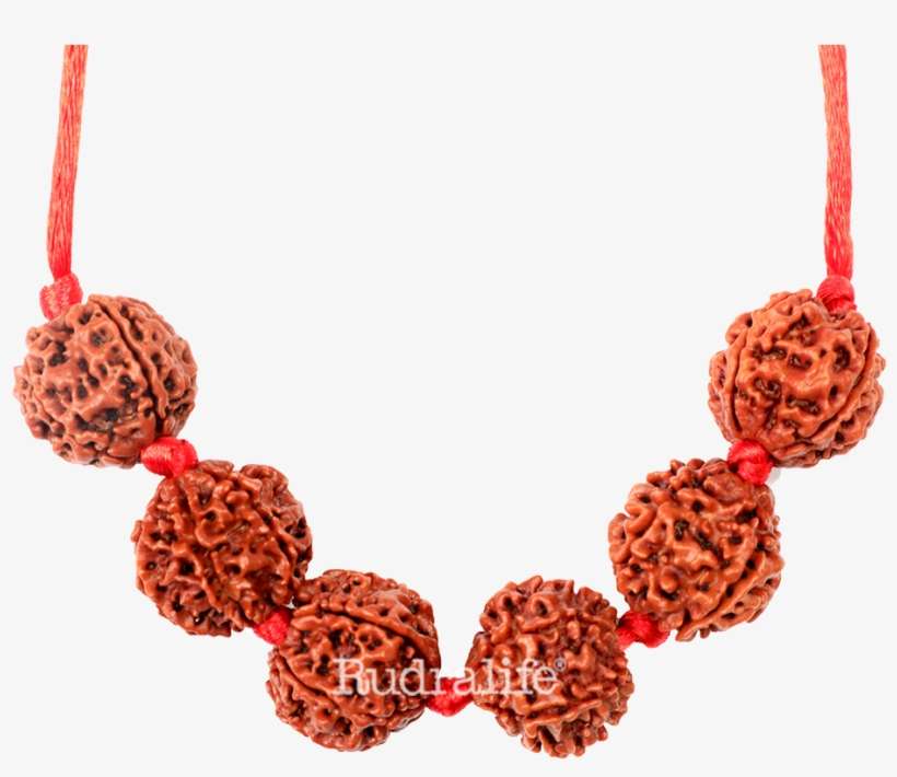 Click To Zoom - Necklace, transparent png download