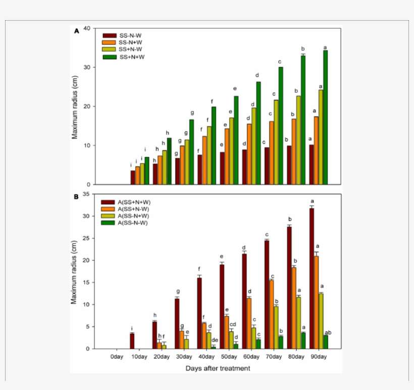 Effects Of Different Water And Nutrients Supplies On - Diagram, transparent png download