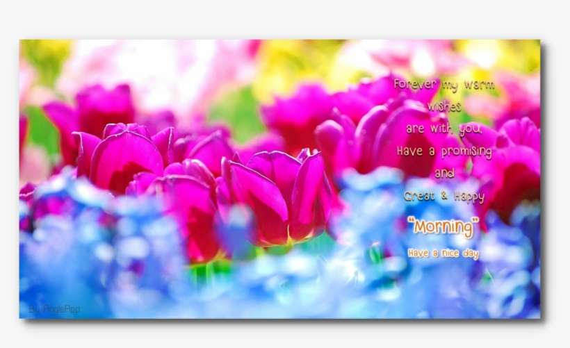 Amazon Com Night Beautiful Flower Appstore For - Neujahrswünsche Gif 2019, transparent png download