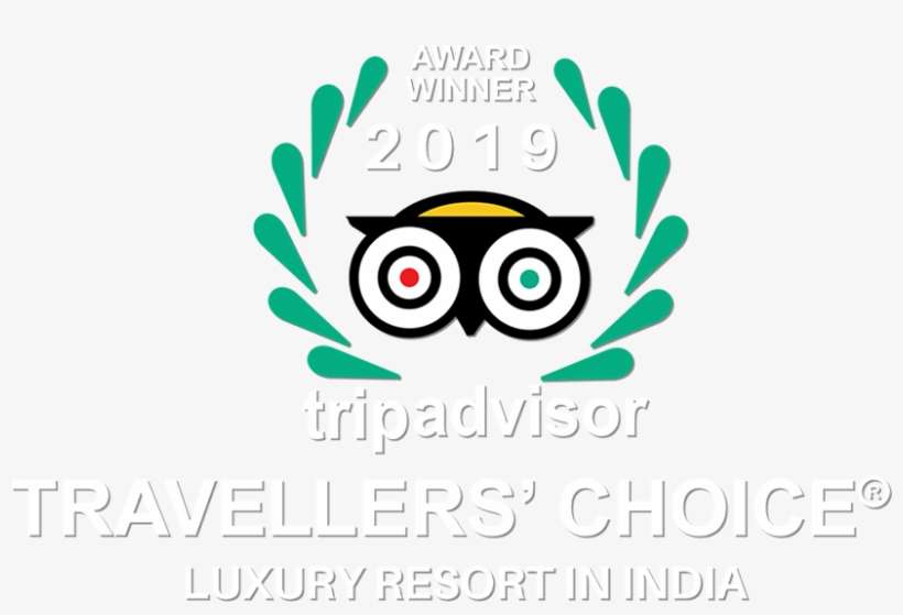 Pop Up Ads - Trip Advisor Travelers Choice Award 2019, transparent png download