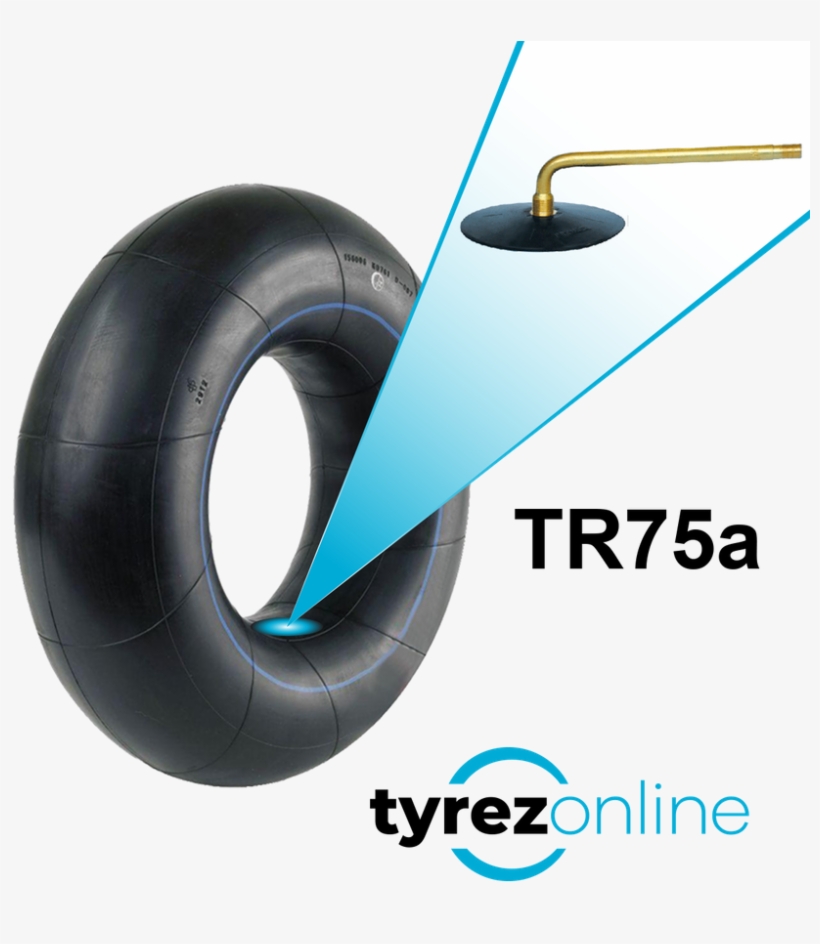 Size - 8 - 25r15 - Graphic Design, transparent png download