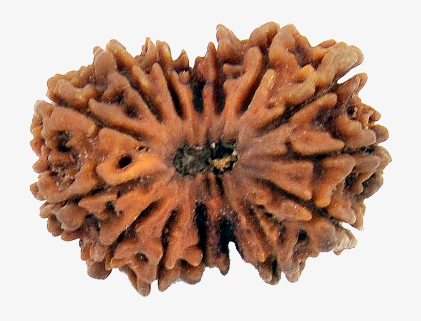 Ruling God, Lord Pashupati - Chocolate Cake, transparent png download