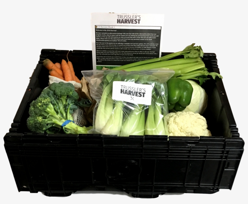 1-2 Person Delivery - Iceburg Lettuce, transparent png download