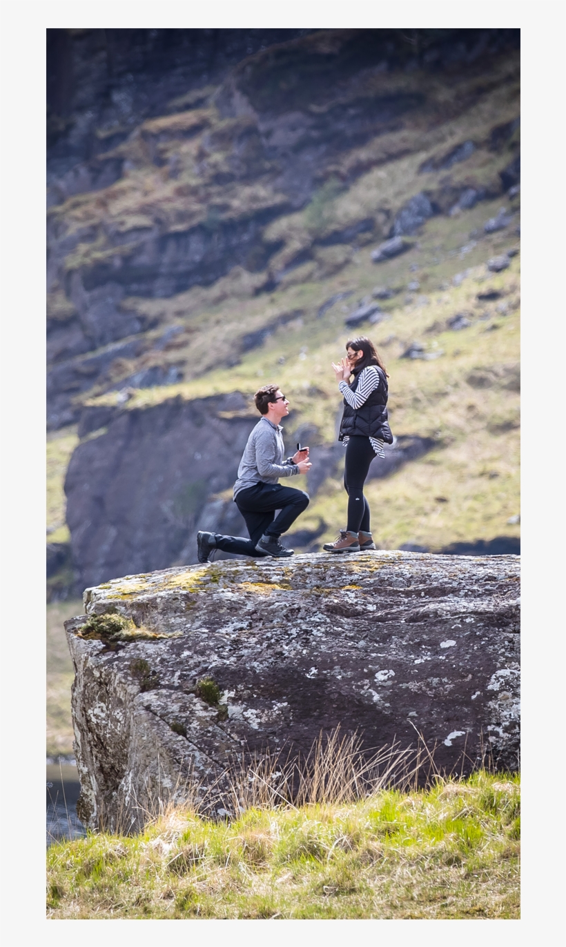 Proposal Planning - Grass, transparent png download