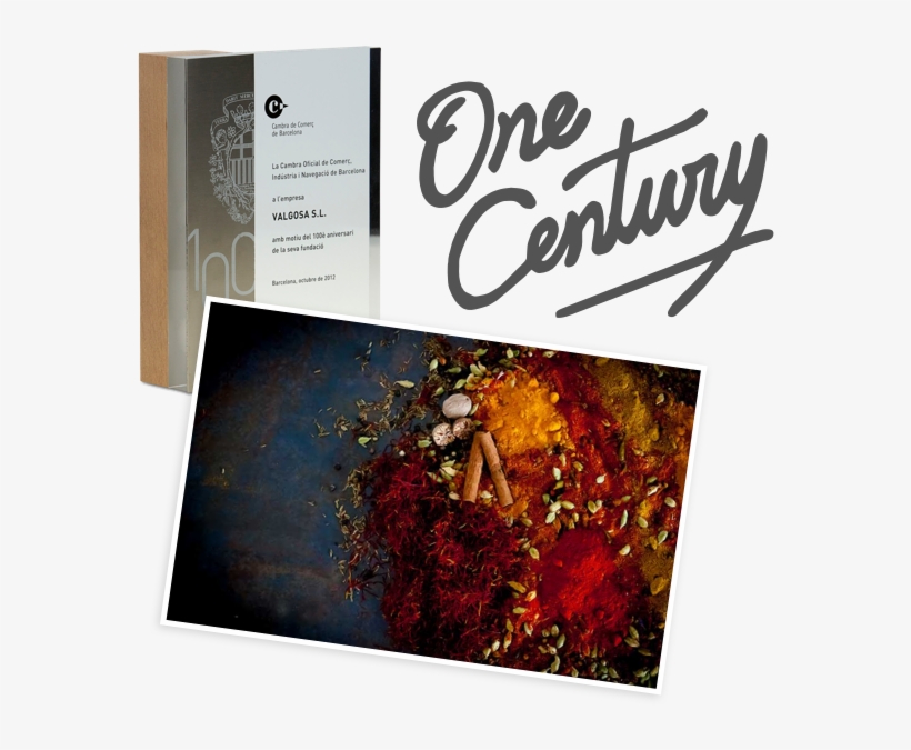 A Century Of History - Book Cover, transparent png download