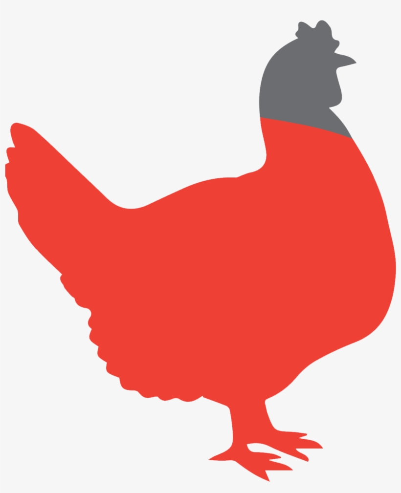 Home - Rooster, transparent png download