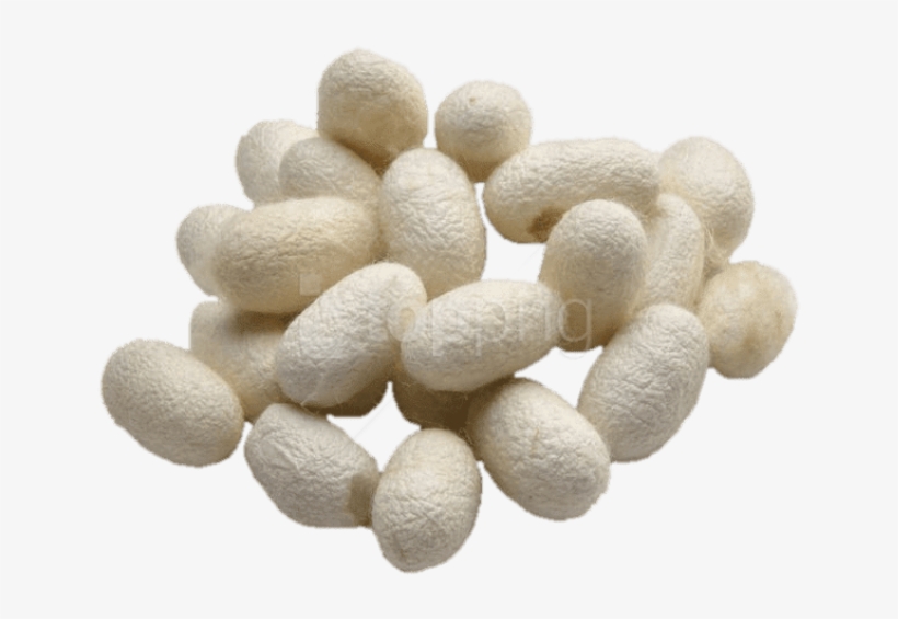 Free Png Download Silkworm Cocoons Png Images Background - Pill, transparent png download