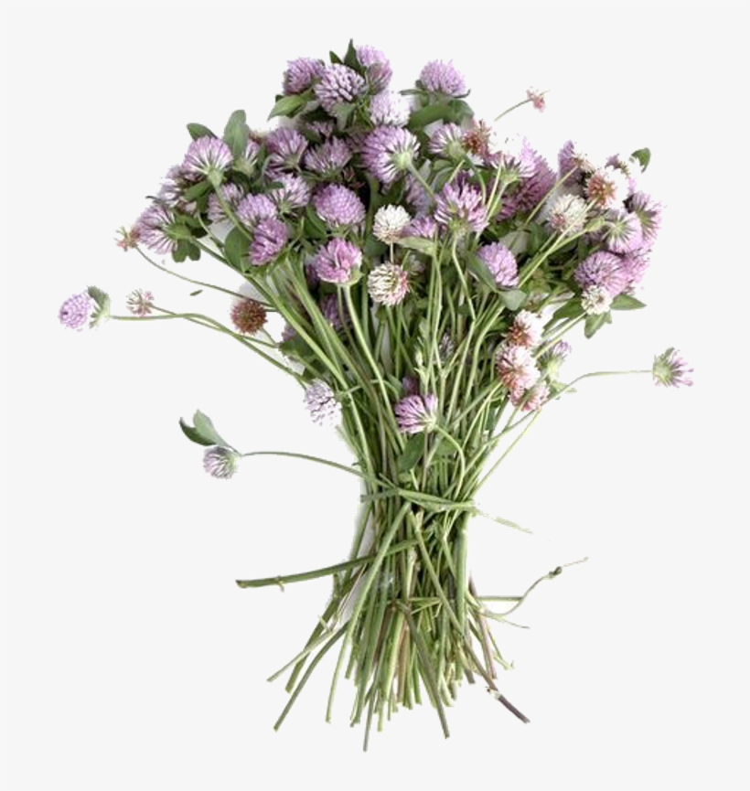 ☁ ✨follow Us On Insta @qlossy - Bouquet, transparent png download