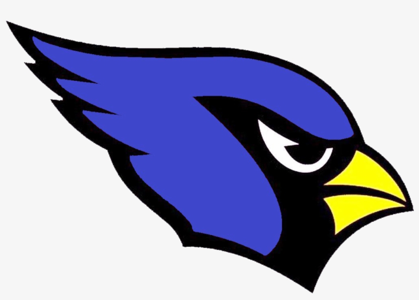 6, Zyabls Team - Arizona Cardinals, transparent png download