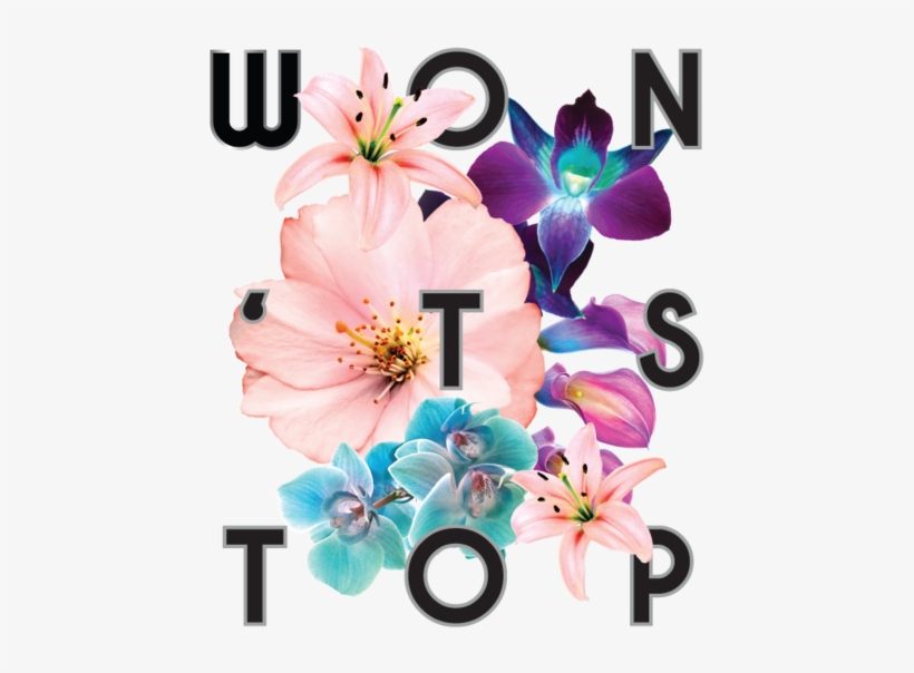 Wont-stop - Png - Orchid, transparent png download