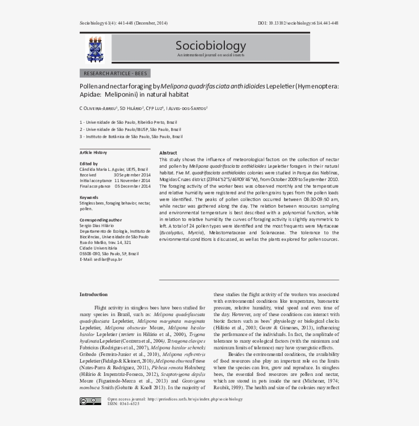 Pollen And Nectar Foraging By Melipona Quadrifasciata - "seeking An American Art Of The Dance", transparent png download