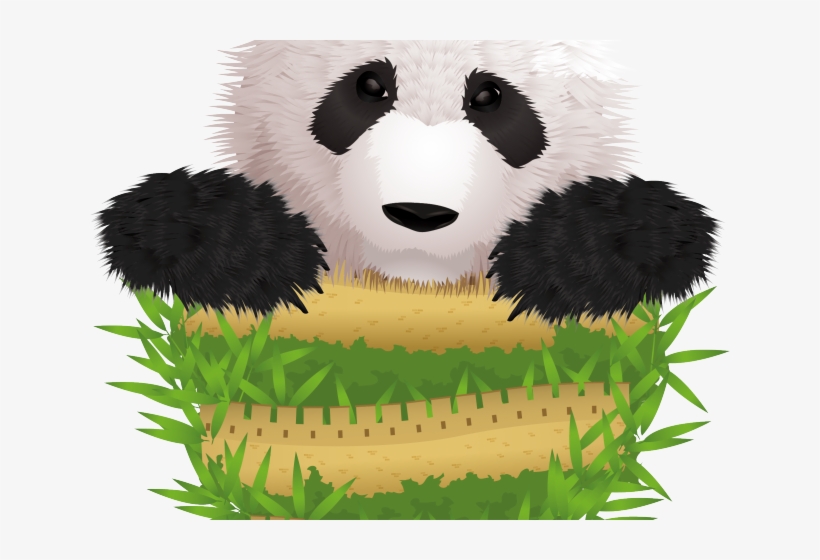 Rare Clipart Giant Panda - Teddy Bear, transparent png download