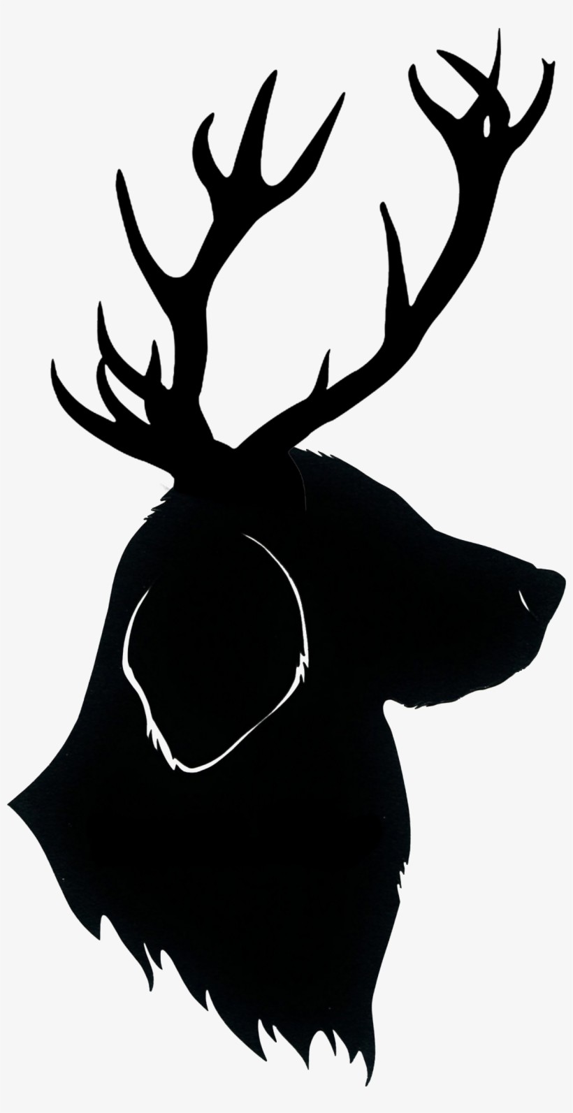 Elk, transparent png download