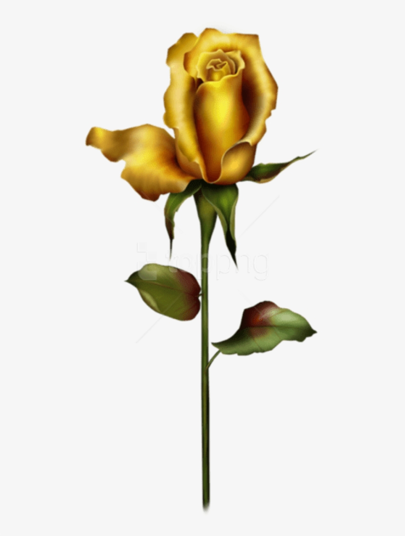 Free Png Download Yellow Rose Bud Png Images Background - Long Stem Yellow Rose Tattoos, transparent png download