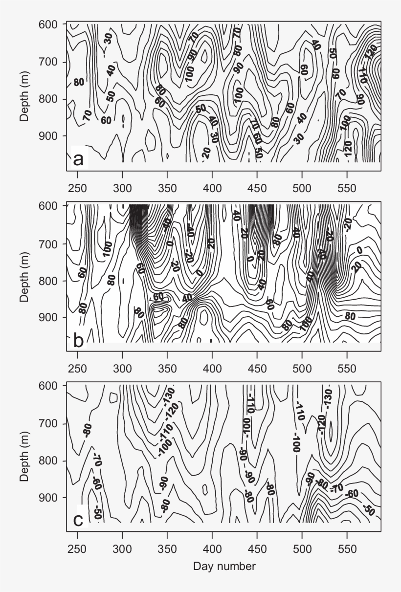 Similar To Fig - Line Art, transparent png download