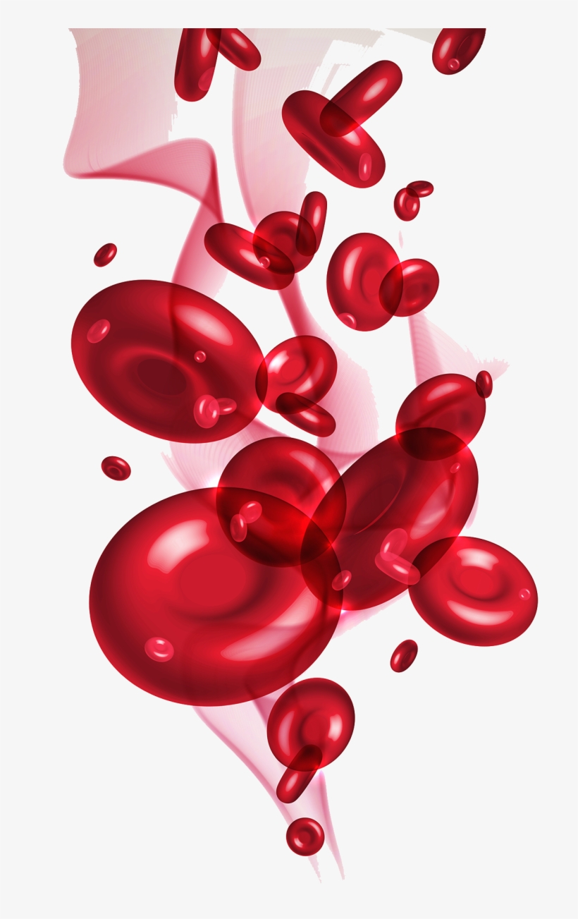 Red Blood Cells Png Red Blood Cell Png Png Image Transparent Png Free Download On Seekpng