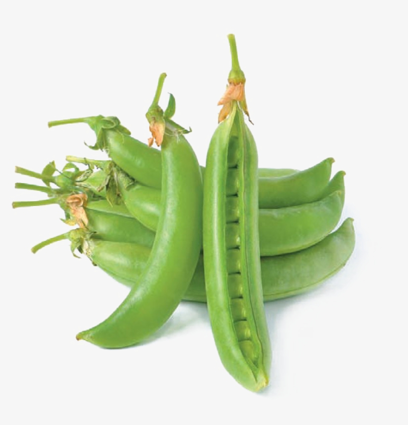 Pea Png Hd Quality - Snap Pea, transparent png download