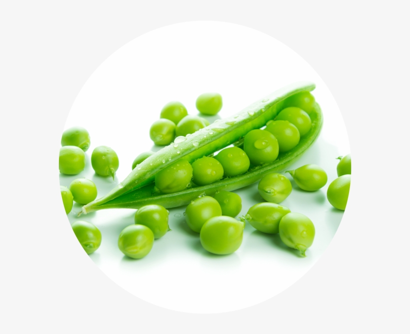Artprotein - Snap Pea, transparent png download