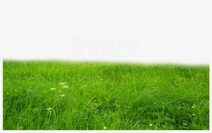 Free Png Download Grass High-quality Png Png Images - Deviantart Grass Png, transparent png download
