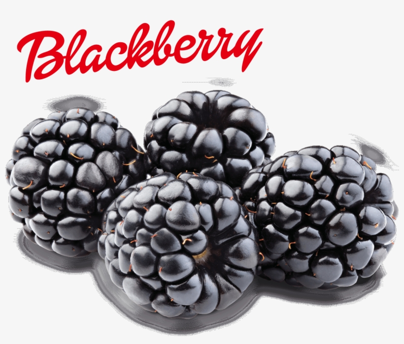Blackberry, transparent png download