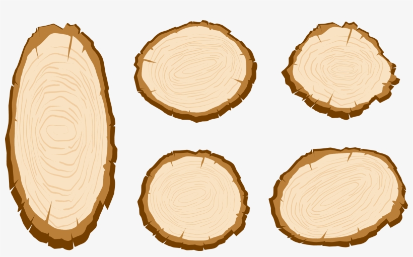 Floral Arranging Wooden Slices Clip Art Tree Slice Clip Art Home & Hobby