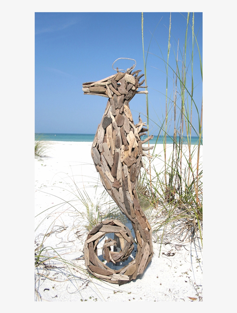 Driftwood Seahorse - Driftwood, transparent png download