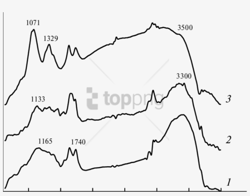 Free Png Download Line Art Png Images Background Png - Map, transparent png download