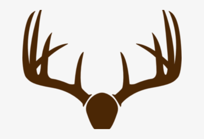 Antler Clipart Brown Deer - Deer Antlers Transparent Background, transparent png download