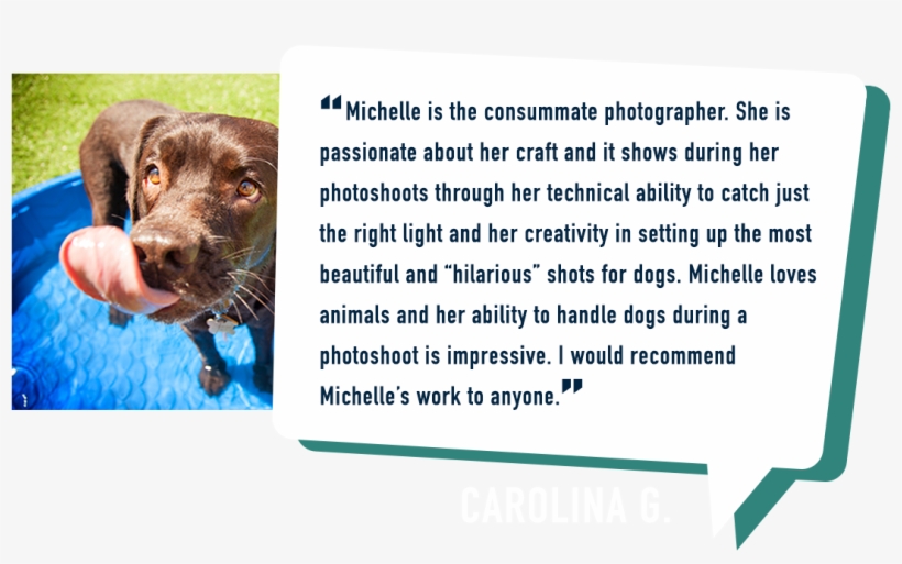 Lucy Testimonials - Brown Bear, transparent png download