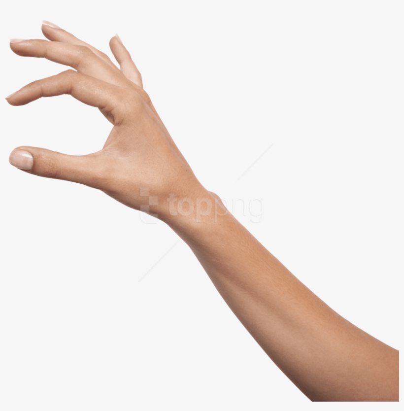 Free Png Download Hands Png Images Background Png Images - Рука Пнг, transparent png download
