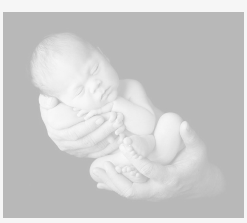 Baby In Hands Fade - Abortion Murder Double Homicide, transparent png download
