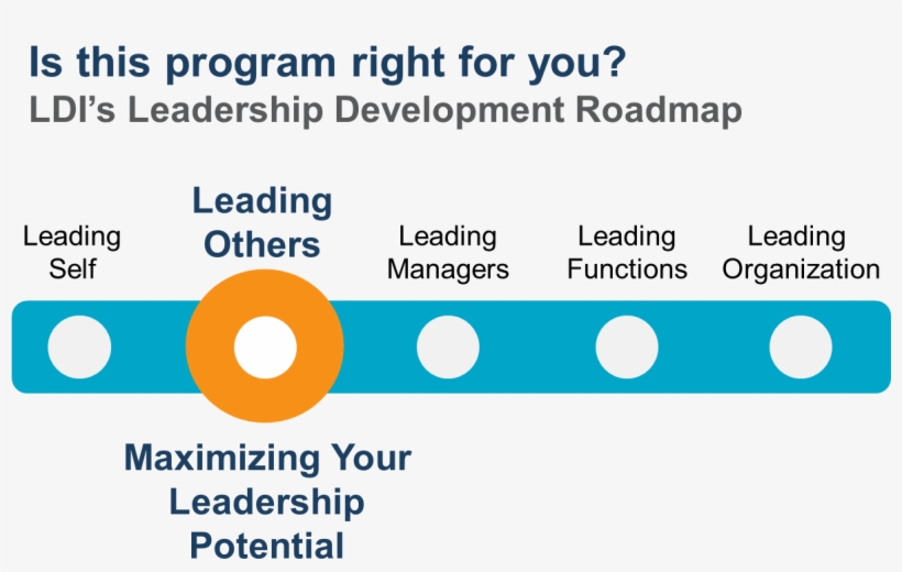 Mlp-leadership Development Roadmap - Bright Language, transparent png download