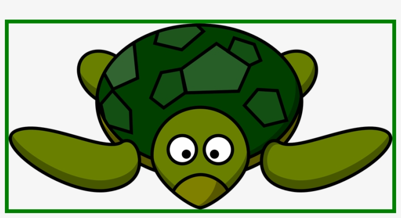 Clip Art Free Stock Amazing Clip Art On Picture For - Clipart Sea Turtle, transparent png download