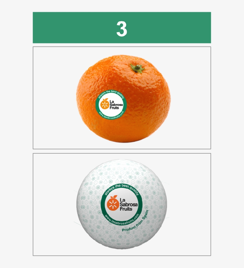 3 1 - Tangerine, transparent png download