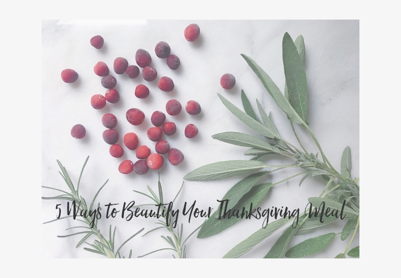 Beautiful-thanksgiving - Png - Chinese Peony, transparent png download