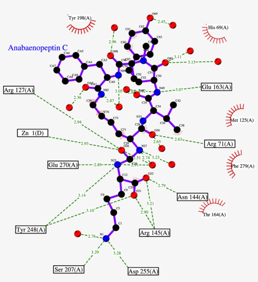 Cartoon Of The Interactions Between 2 And The Carboxypeptidase - Carboxypeptidase Active Site, transparent png download